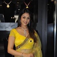 Anjana Sukhani Inaugurates Jewelry Store - Pictures | Picture 105538